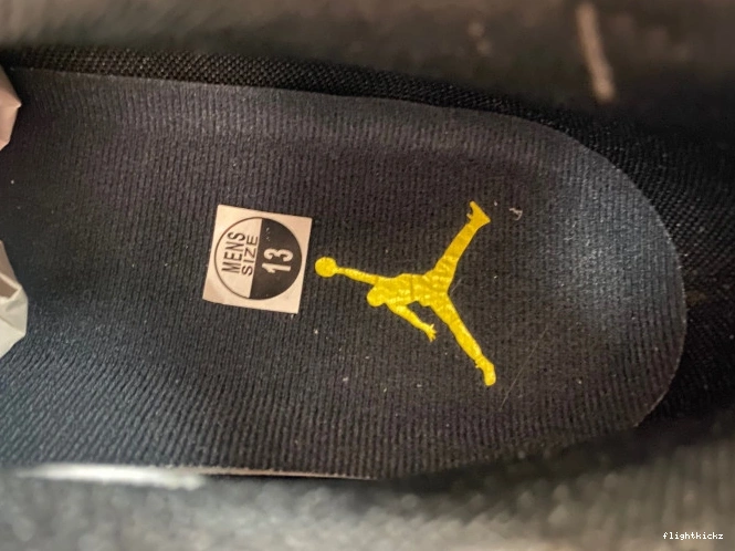 Lightning Jordan Air FJ0395-100 Low 17 1126